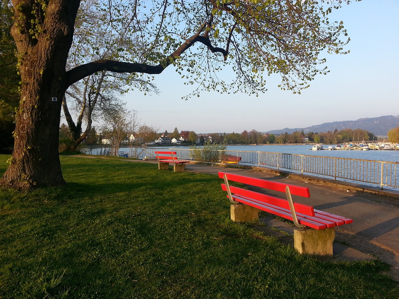 要集中在他 要集中在他