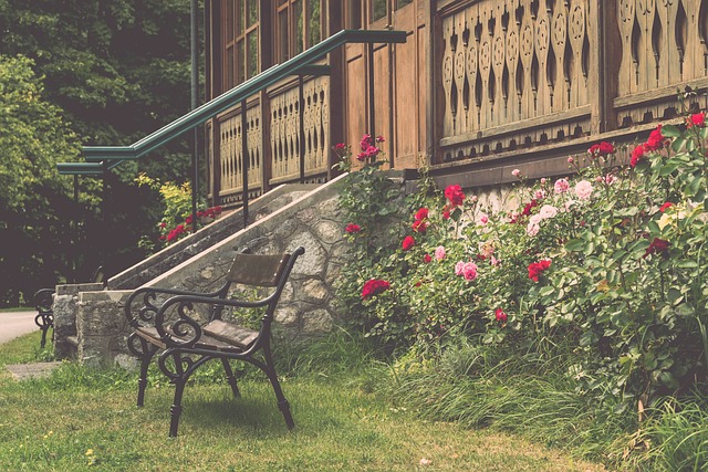 球迷们对于 球迷们对于