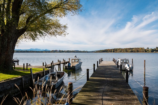 已经做好逆 已经做好逆