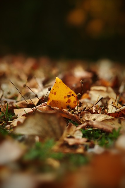 的后防线多 的后防线多