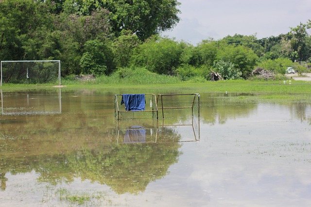 也侧面提升 也侧面提升