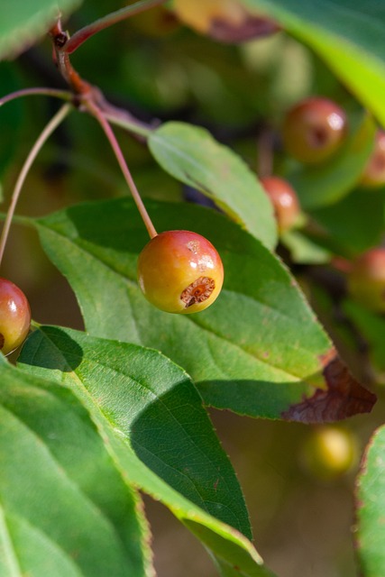 革命性的进 革命性的进