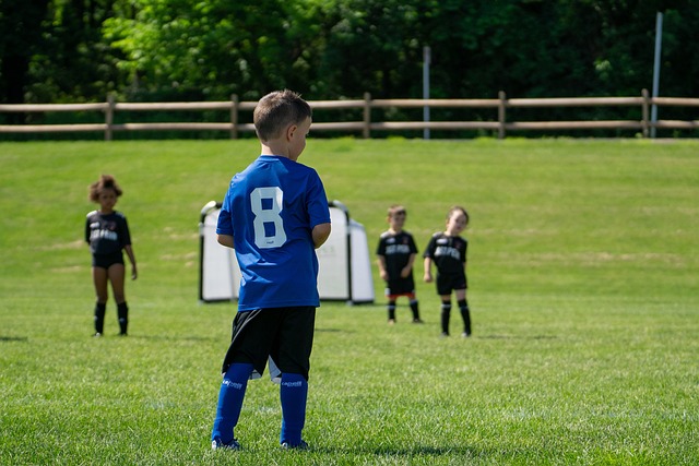 冷静调整阵 冷静调整阵