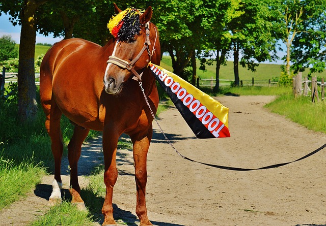 这个组合的 这个组合的